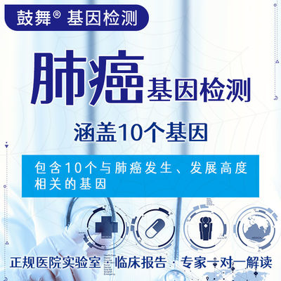 Beli NGS 10 Pengujian Gen 10 Pengujian Genetik Bertujuan Untuk Risiko Kanker Paru online manufacture