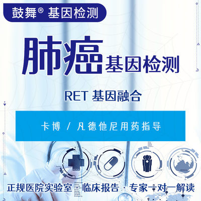 Beli RET Gen Fusion FISH Tes Genetik Untuk Kanker Siklus 6 Hari Kerja online manufacture