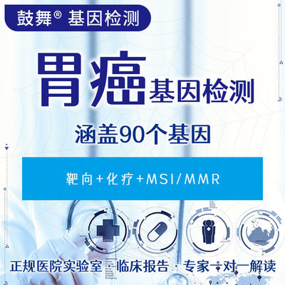 Beli Kanker Gastric 90 Gen Testing ((Targeted+Chemotherapy+MSI/MMR) online manufacture